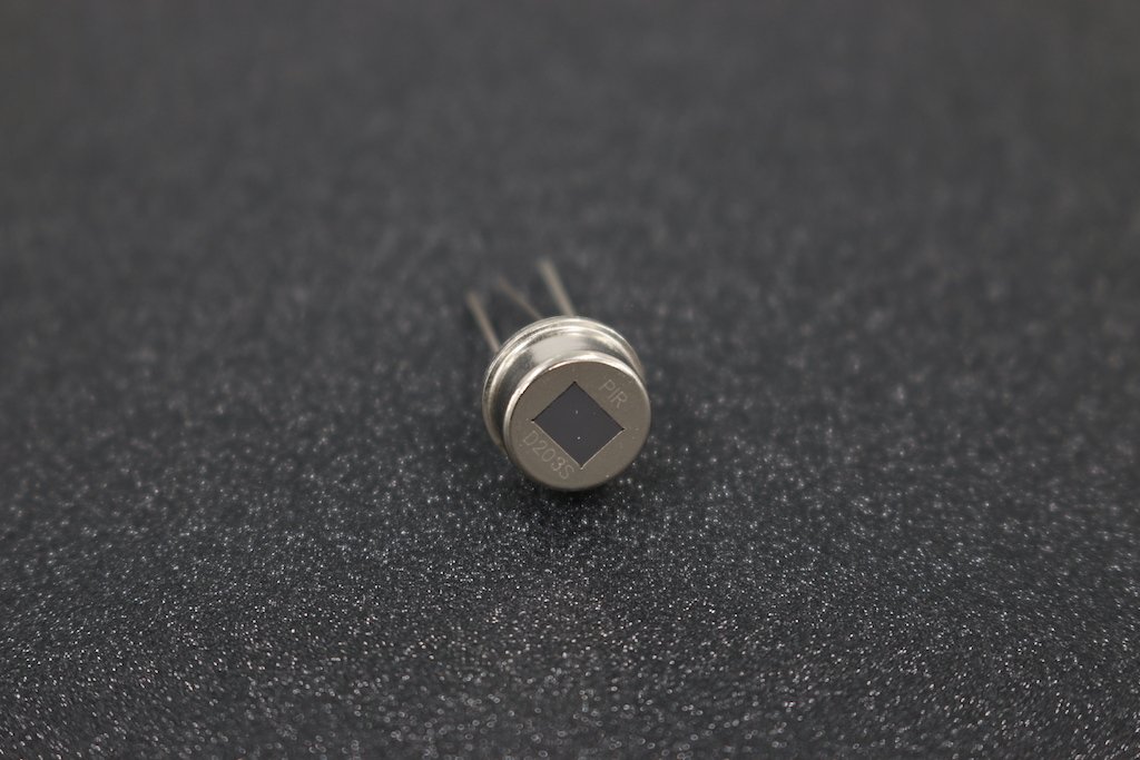 D203S PIR Human Infrared Radial Sensor